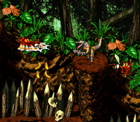DKC2 Animal Antics Squitter Jungle.png
