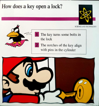 Key quiz card.png