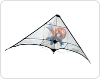 Kite large.png