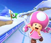 MKT Icon DKSummitRWii Toadette.png