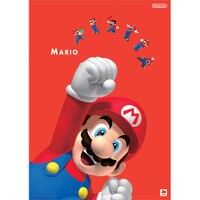 Mario poster big 3.jpg