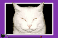 NM WWIMM Cat Nap.png