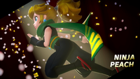 NM PPS Ninja Transformation.png