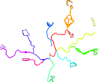 Cheep Cheep Falls Routes.png