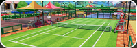 MTF Court Academy Grass.png