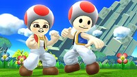 ToadOutfit.jpg