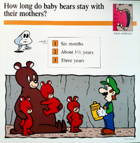Baby bears quiz card.png