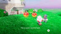 Berry SMO.jpg