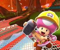 MKT Icon MapleTreewayRTWii BuilderToadette.png