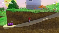 Mushroom Kingdom Coins DD.jpg