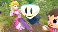 SSBU Vegetable.jpg