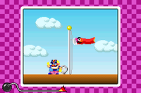 WWIMM Wario Windsock Lvl2.png