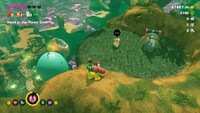 DKB Cranky's Forest Rant.jpg