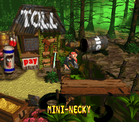 Mini-Necky DKC2 ending.png
