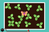 NM WWIMM Four Leaf Hover.png