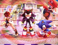 Shadow the Hedgehog.jpg