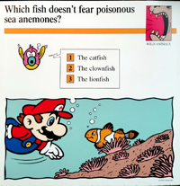 Anemones quiz card.png