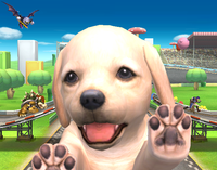 Nintendog Brawl.png
