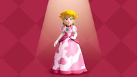 PPS Cowgirl Dress.jpg