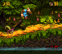 Riverside Race DKC3 shot.png