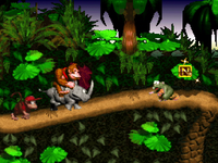 NM DKC Banner.png