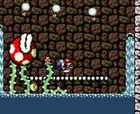 NavalPiranhaPlant.png