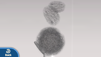 G&W Prize Steel Wool GamePad.png