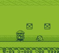 NM WL Ripple Course.png