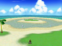 MKDS Palm Shore.png