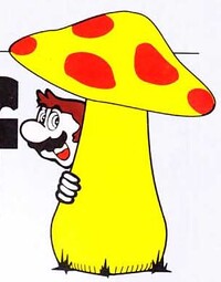 MarioArtworkCL16.jpg