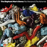 SFMelephantmansbones.jpg