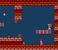 SMB2 Mouser Screenshot.png