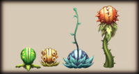 ChompDKCR.png