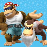 DKCTF Switch Co-Op Poll 6.jpg