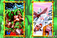 DKC Scrapbook Page11.png