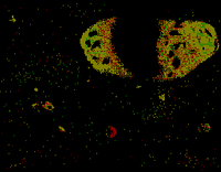 DK3DG PC-88 BG7.png