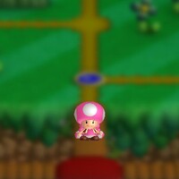 NSMBUD Mini Toadette.jpg