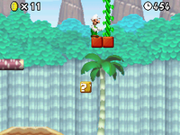 6-2 NSMB.png
