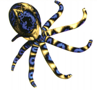 Croctopus art.png