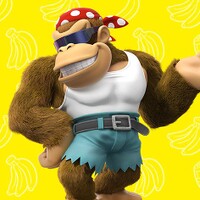Play Nintendo Funky Profile.jpg