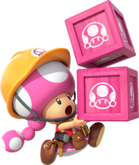 Builder Toadette Run.png