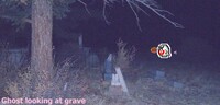 Ghost looking at grave.jpg.crop display.jpg