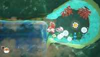 YATM BafloonderHabitat SmileyFlower3.png