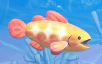 BeautifulFish YATMB.png