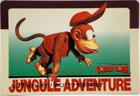 DKC Card 17.jpg