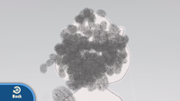 G&W Prize Steel Wool TV.png
