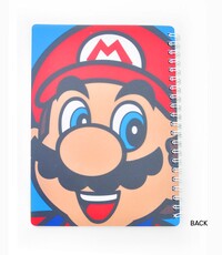 Princess notebook 2.jpg
