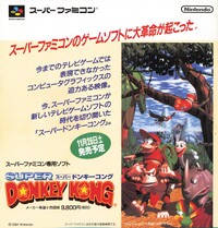 DKC JP print ad.jpg