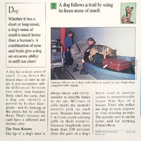 Dog trail quiz card back.png