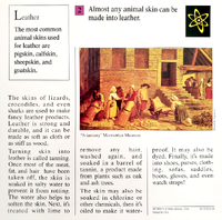 Leather quiz card back.png
